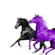 Old Town Road (Seoul Town Road Remix)}