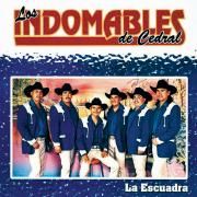 Portada de Álbum "La Escuadra", de Los Indomables de Cedral