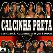 Vol. 7 (Seu Coração Vai Aprender o Que é Paixão)
