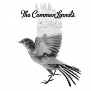 The Common Linnets