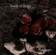 Seeds Of Brain