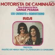 Motorista de Caminhão - Tema Original da Série 