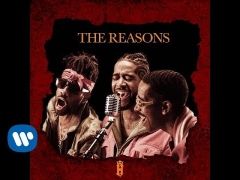 The Reasons