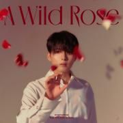 A Wild Rose - The 3rd Mini Album}