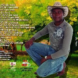 Capa do álbum "Na Rua Eu Sou Solteiro", de Delsales