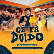 Cê Tá Doido (São José do Rio Preto), Vol. 2 (part. Ícaro e Gilmar e Humberto & Ronaldo) (Ao Vivo)}