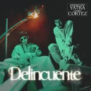 Delincuente}