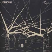 Icehouse Plays Flowers