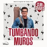 Tumbando Muros