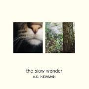 The Slow Wonder}