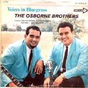 Voices In Bluegrass}