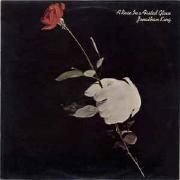 A Rose In A Fisted Glove