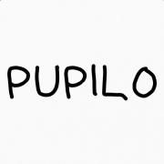 Pupilo}