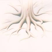 Organs}
