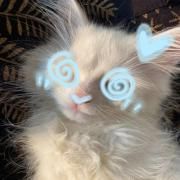 Capa do Single/EP "suffocate me until i turn blue", de amotti