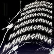 MANDACHUVA.}