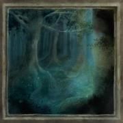 Portada de Sencillo/EP "Fukuro No Mori", de Fukuro