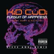 Pursuit of Happiness (Extended Steve Aoki Remix) [explicit]}