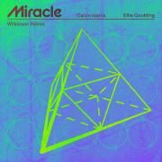 Miracle (with Ellie Goulding) [Wilkinson Remix]}