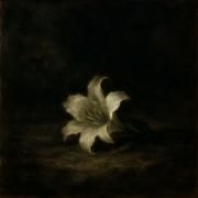 Agora Ignez É Morta