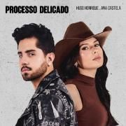 Processo Delicado (part. Hugo Henrique)}