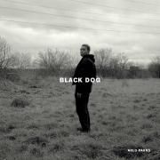 Black Dog}
