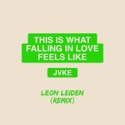 this is what falling in love feels like (Leon Leiden Remix)}
