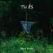 Tu És (Faça Em Mim Teu Querer)