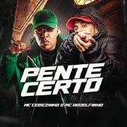 Pente Certo (part. MC Rodolfinho)