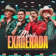 Muié Exagerada (Ao Vivo) 