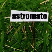Astromato}