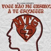 DJ Luan Gomes -Você Não Me Ensinou A Te Esquecer 