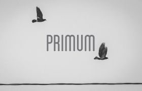 Primum}