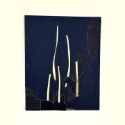  All’Acqua Ghiacciata}