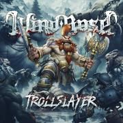 Trollslayer}