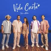 Vida Curta (part. Tritom)}