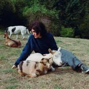 Capa do Single/EP "End Of The World", de Searows