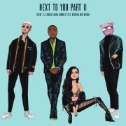 Next To You Part II (feat. Digital Farm Animals, Rvssian & Davido)}