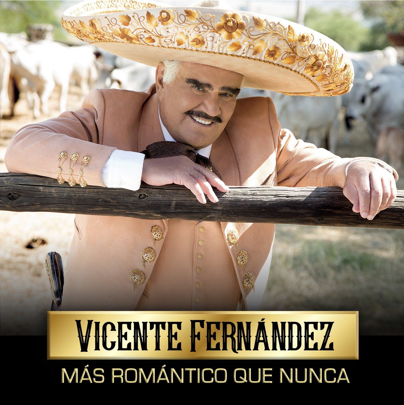 Imagem do álbum Más Romántico Que Nunca do(a) artista Vicente Fernández