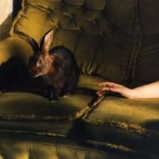 Portada de Sencillo/EP "Storm Warnings", de florence road