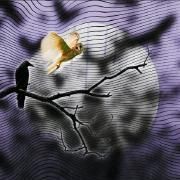 Relações Bem/Mal Acabadas }