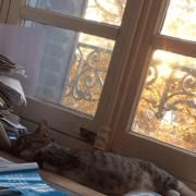 Portada de Sencillo/EP "blame", de Jades