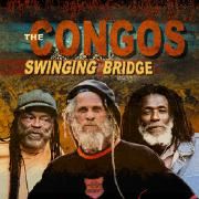 Swinging Bridge