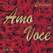 O Meu Amor Por Você 