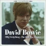 I Dig Everything: the 1966 Pye Singles}