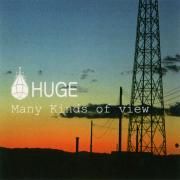 Capa do Single/EP "Many Kinds of View", de Huge