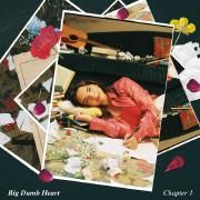 Big Dumb Heart, Chapter 1}