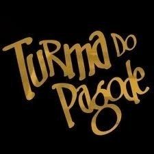 Amigos - Ao Vivo - música y letra de Turma do Pagode