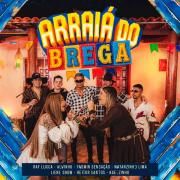 Capa do Álbum "Arraiá do Brega ", de Arraiá do Brega
