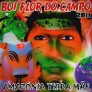 Amazônia Terra Mãe}